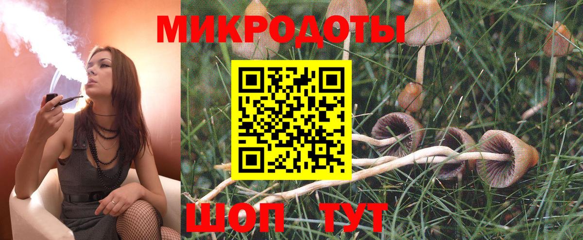 Бузулук  Галлюциногенные грибы прущие грибы  Галлюциногенные грибы Psilocybine cubensis  хочу наркоту  Вход с VPN 