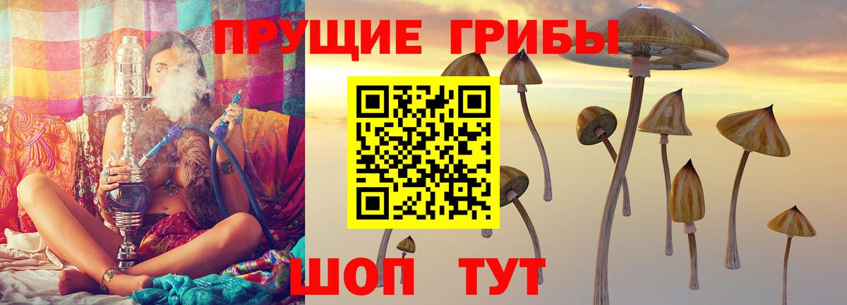 Галлюциногенные грибы Magic Shrooms Бузулук