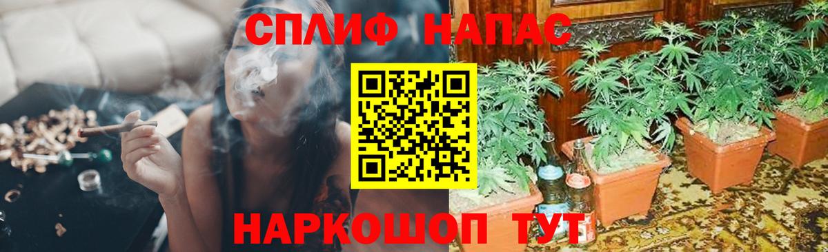 Каннабис VHQ Бузулук